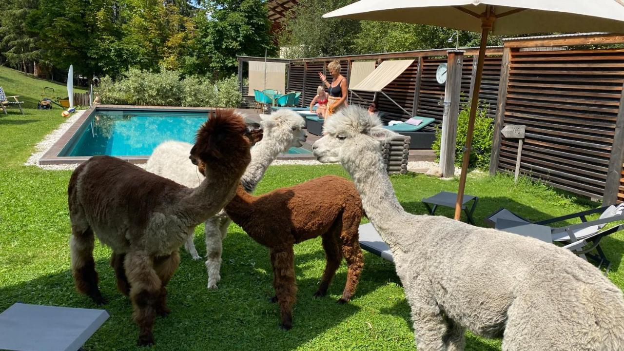 Dolomit Boutique Hotel 라 비야 외부 사진